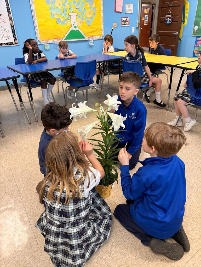 grade 2 students observe the parts of a flower in science class