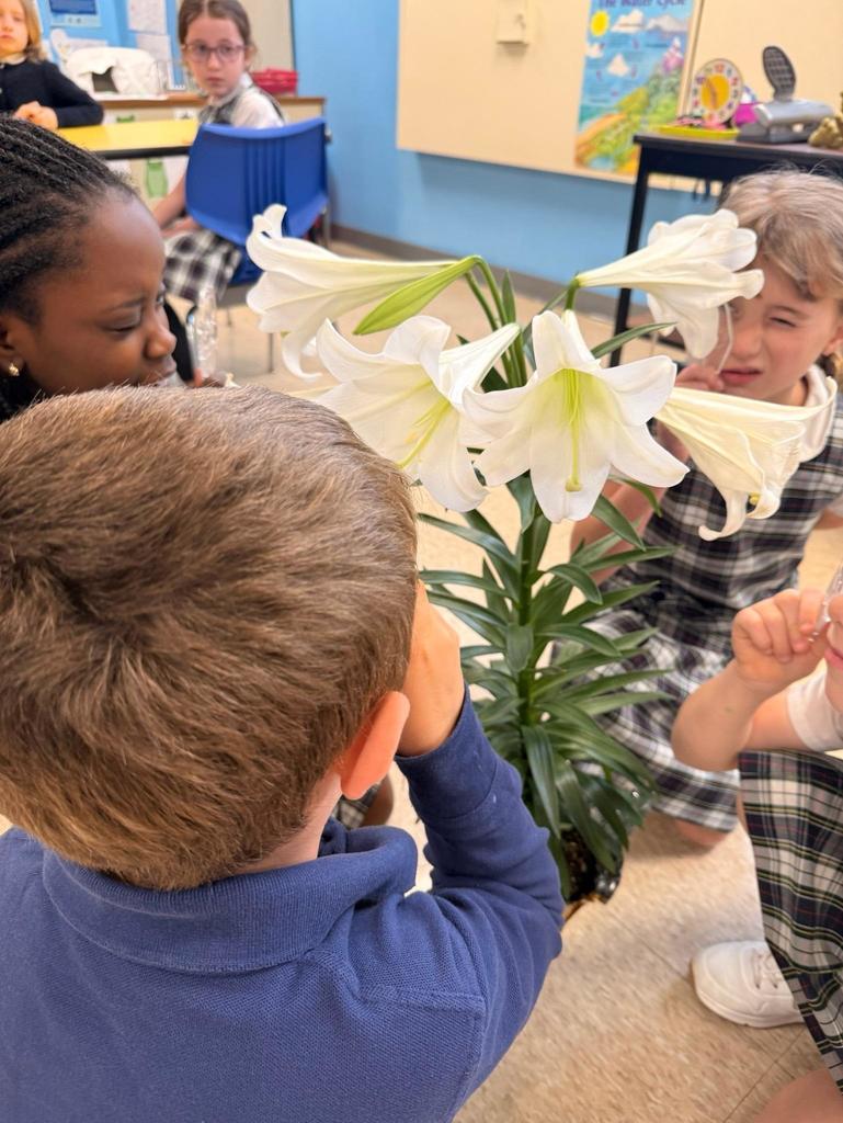 grade 2 students observe the parts of a flower in science class