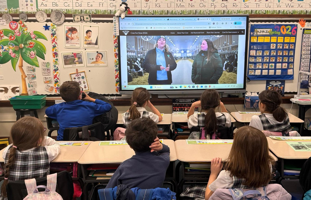 Grade 2makes butter, learns about WNY dairy industry.