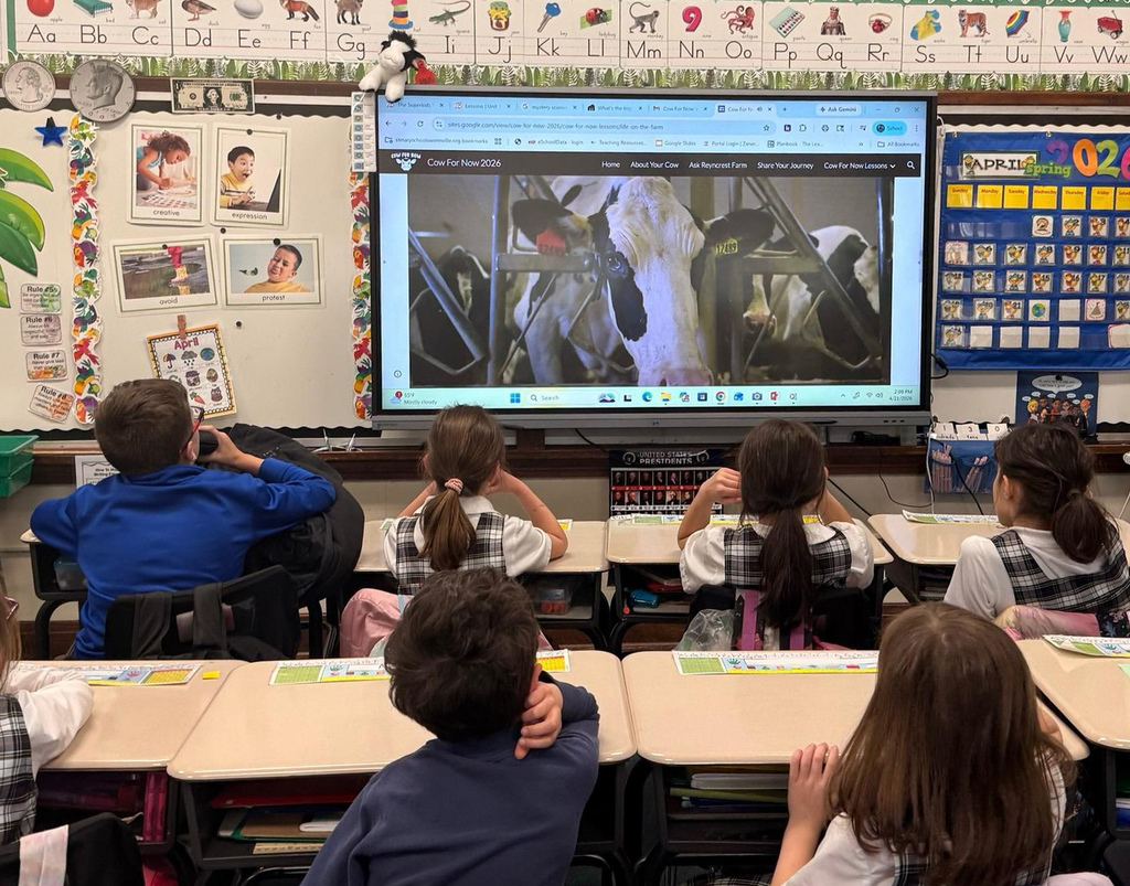 Grade 2makes butter, learns about WNY dairy industry.