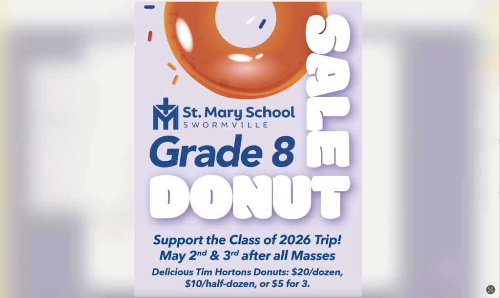 grade 8 fundraisers
