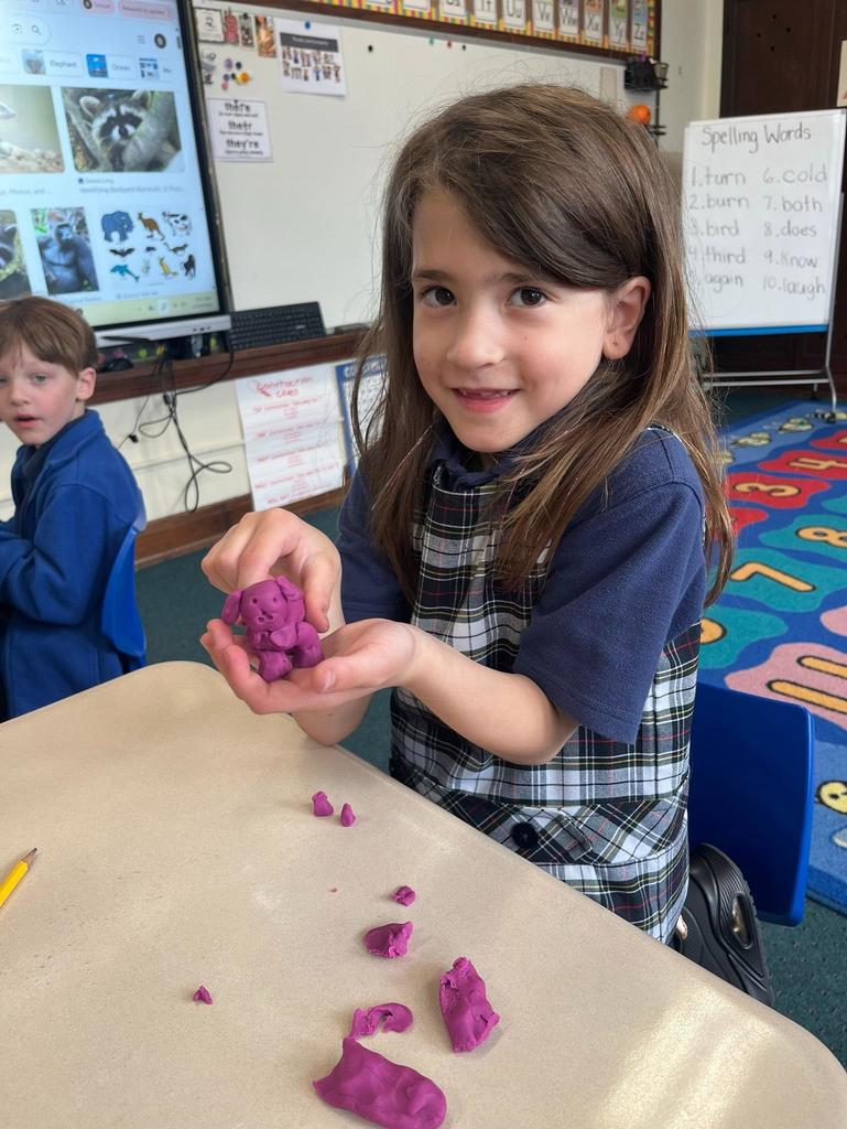 grade 1 animal classification with play-doh