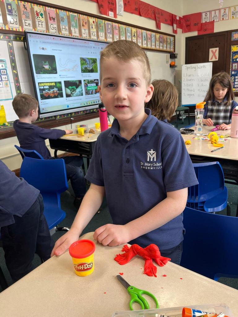 grade 1 animal classification with play-doh