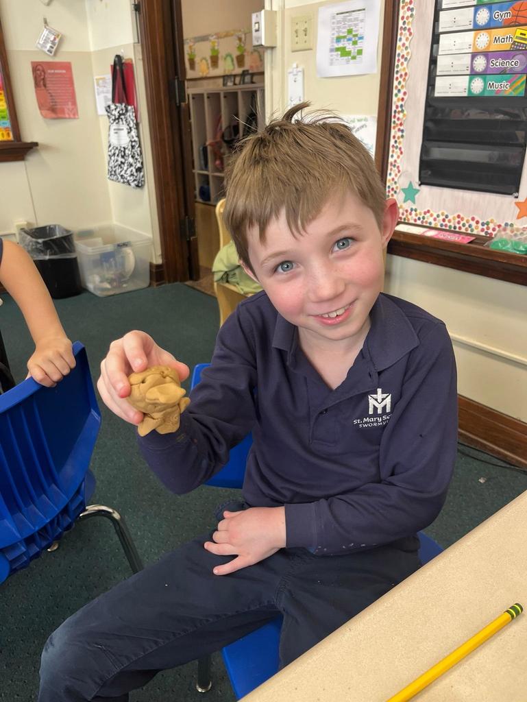 grade 1 animal classification with play-doh