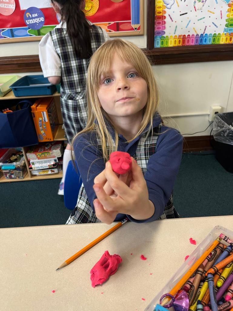 grade 1 animal classification with play-doh