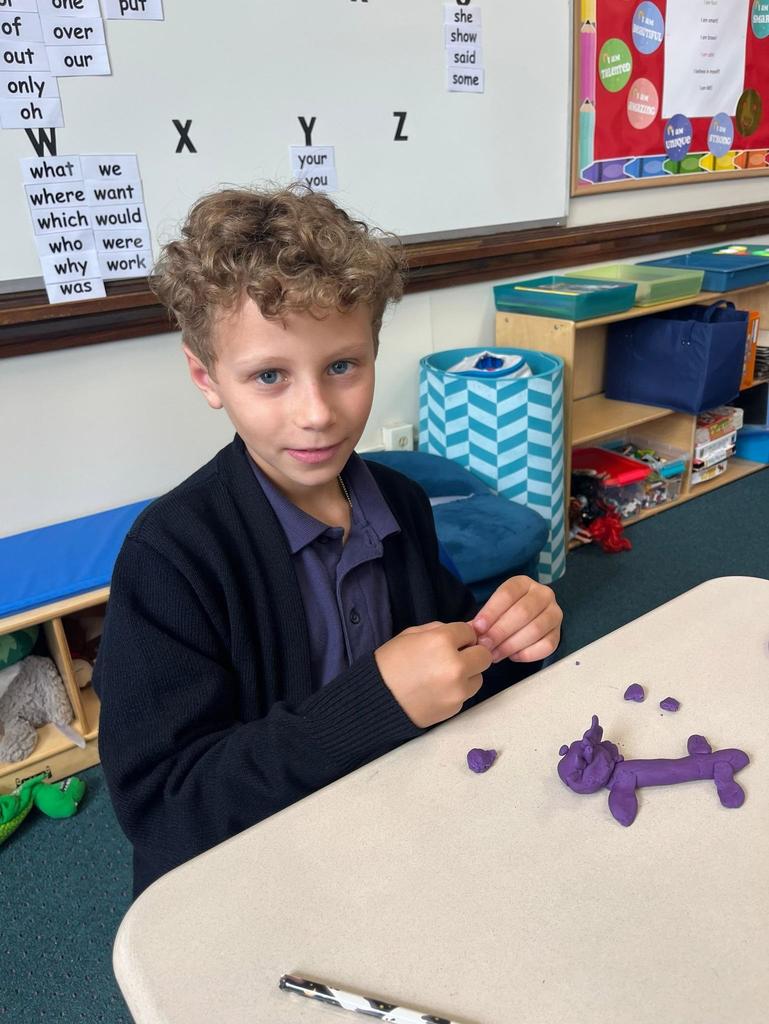 grade 1 animal classification with play-doh