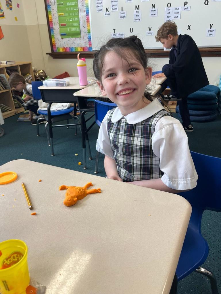 grade 1 animal classification with play-doh