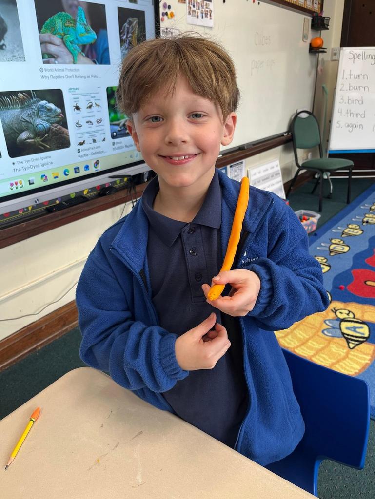 grade 1 animal classification with play-doh