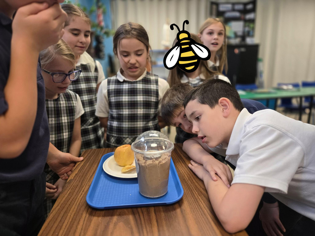 grade 3 students look at their ant farm in science class