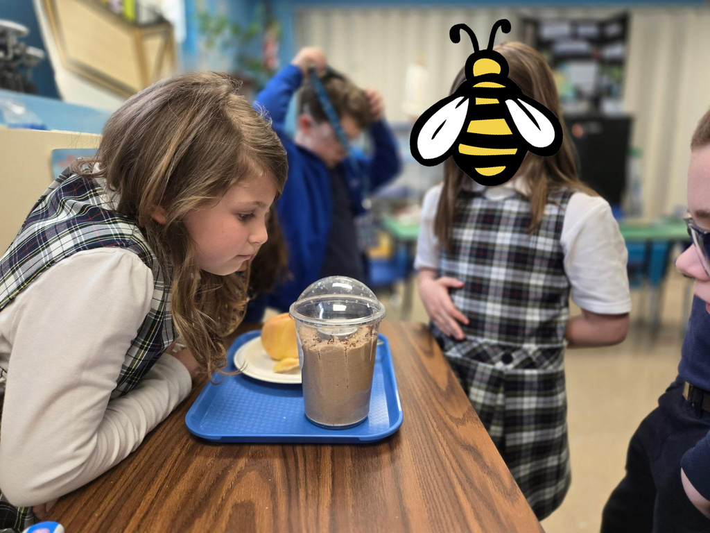 grade 3 students look at their ant farm in science class