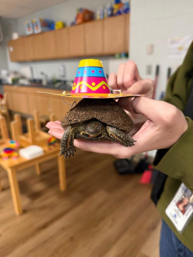 Montessori Pre-K