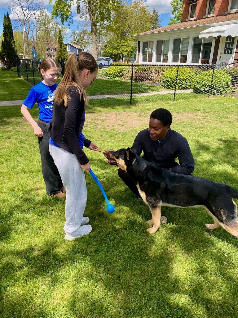 Fetch with Lucy Magnificat Auction Item