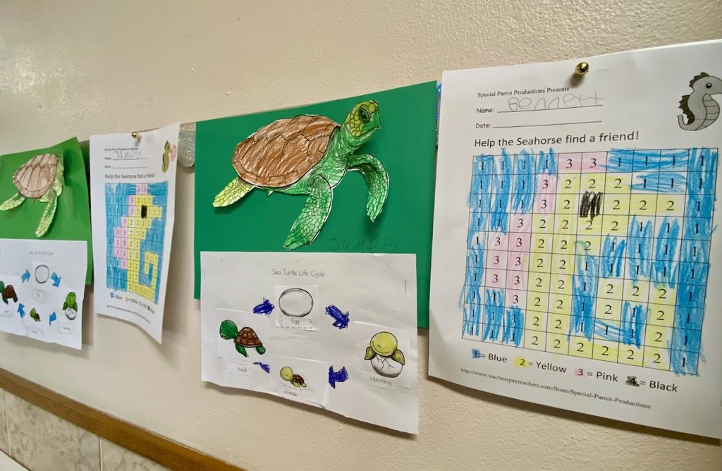 Kindergarten studies oceans