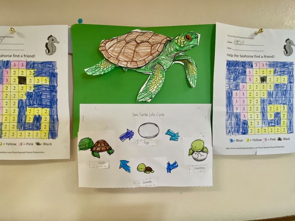 Kindergarten studies oceans
