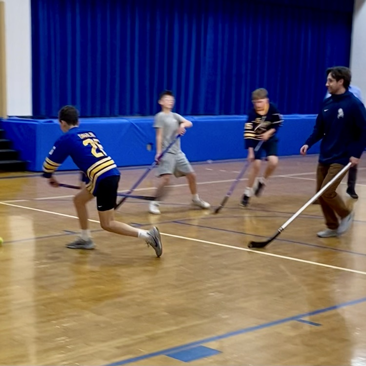 floor hockey