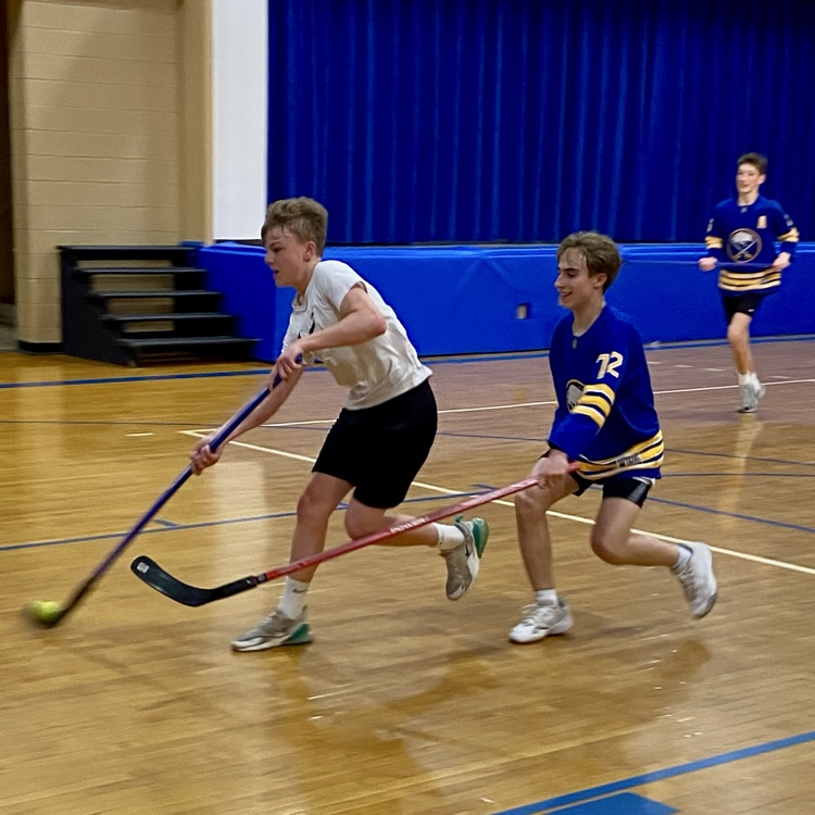 floor hockey