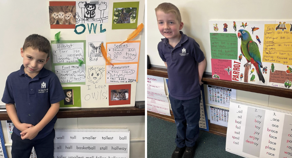 Grade 1 Animal Projects
