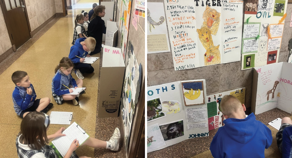 Grade 1 Animal Projects