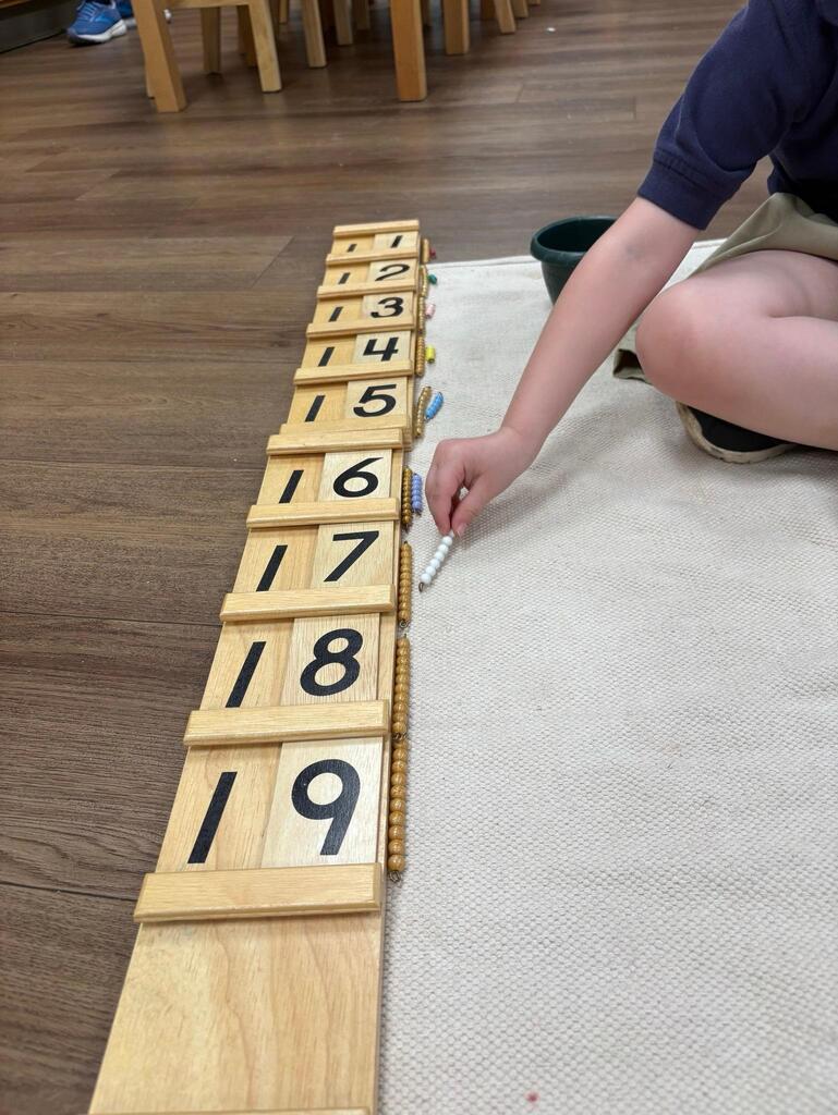 Montessori Pre-K at St. Mary School Swormville