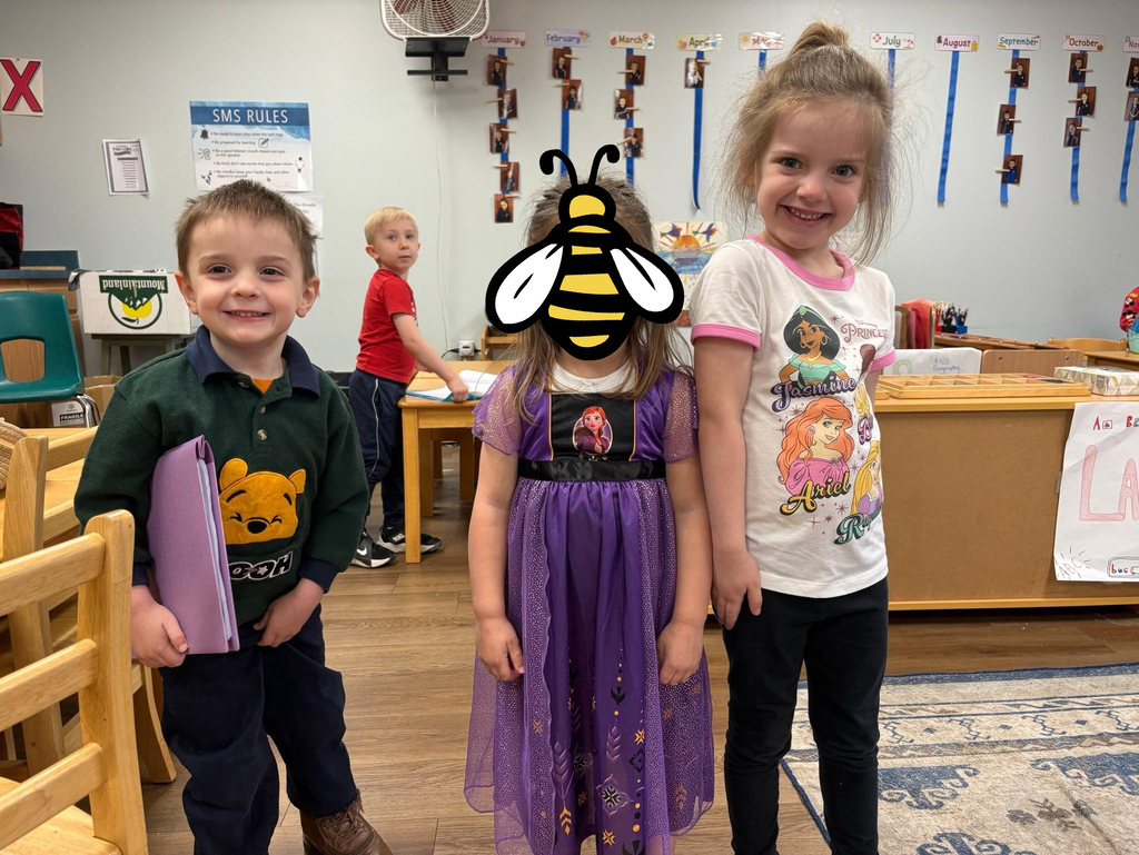 Montessori Disney & Ice Cream Party