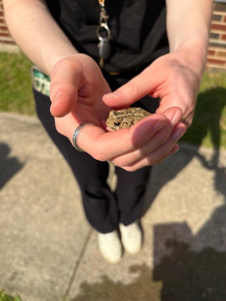 teacher holding a toad