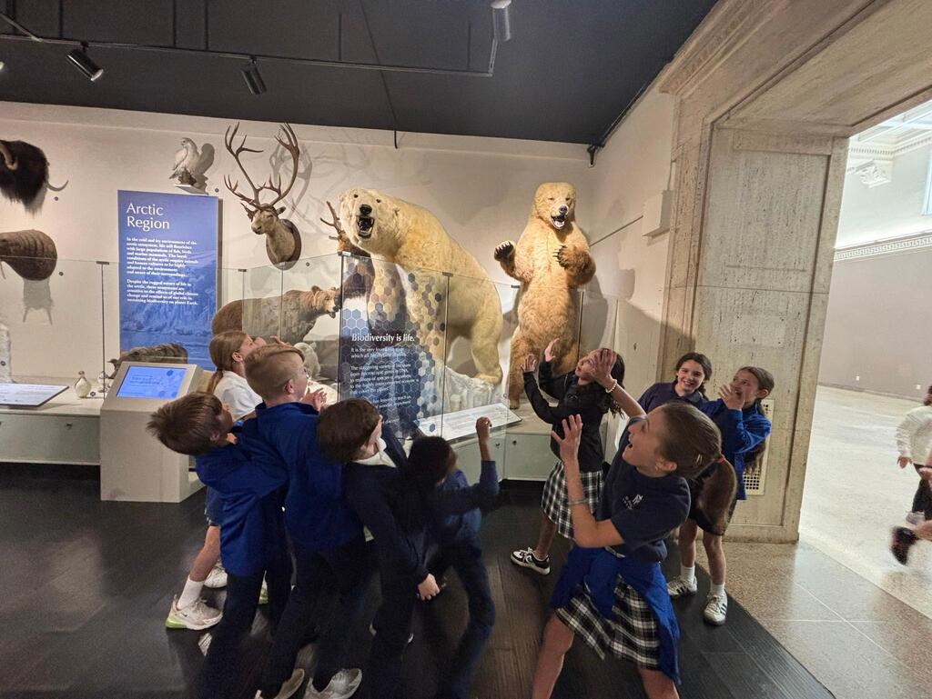 Grades 4 & 5 students build model bridges & explore the Buffalo Museum of Science