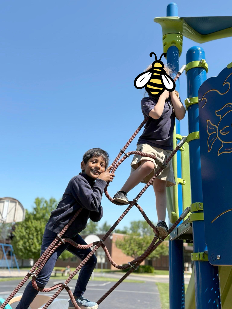 Children play together on a playground