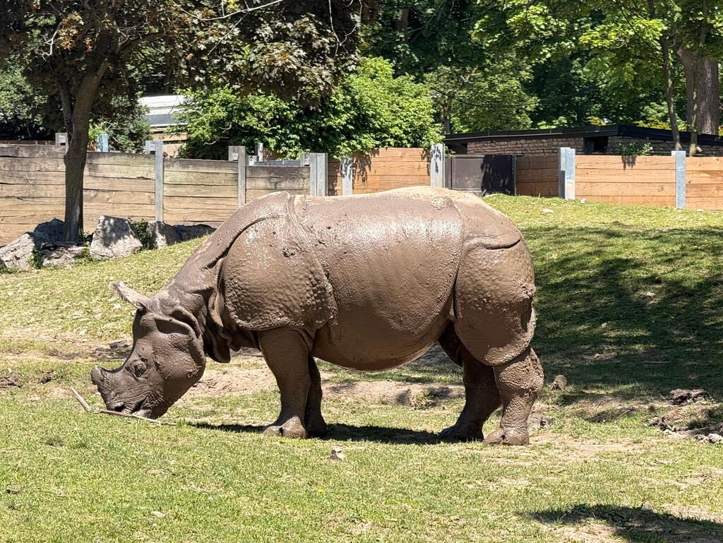 buffalo zoo field trip