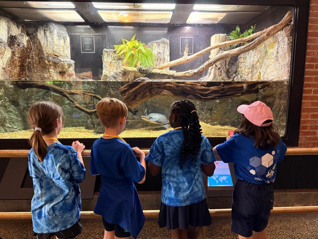 buffalo zoo field trip