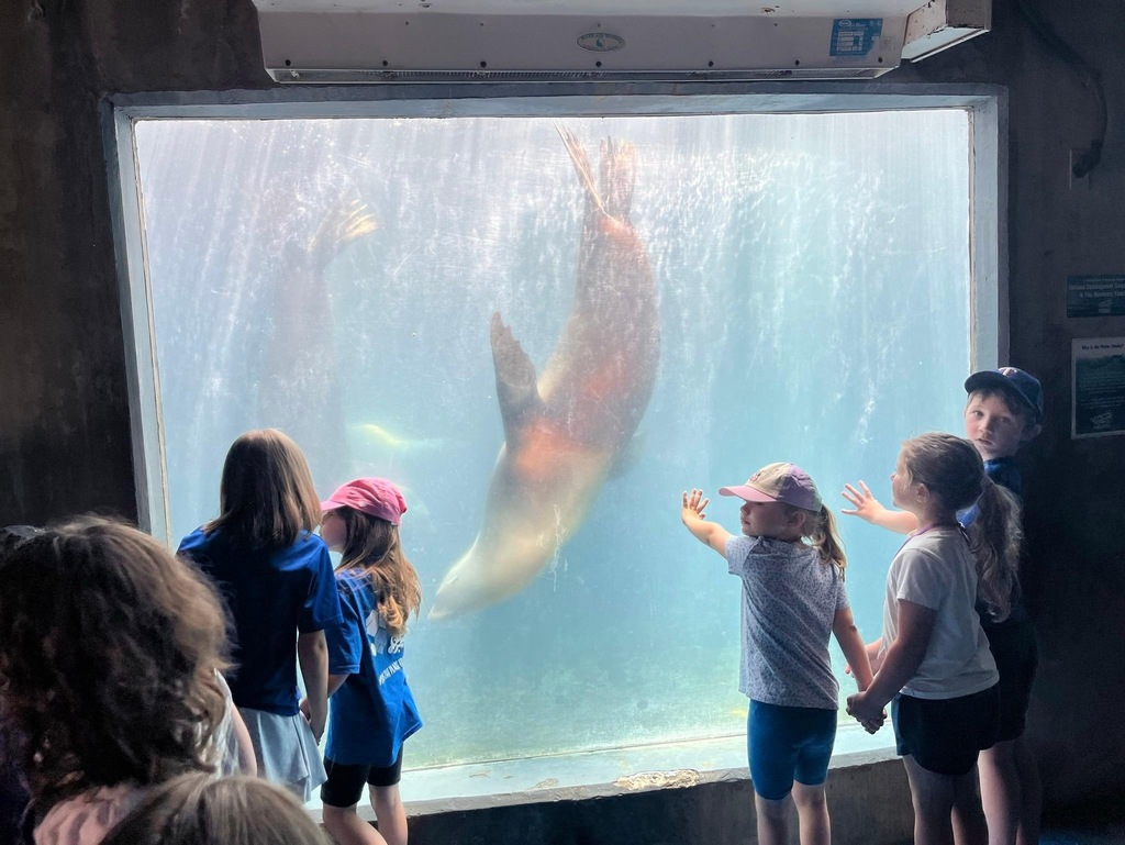 buffalo zoo field trip