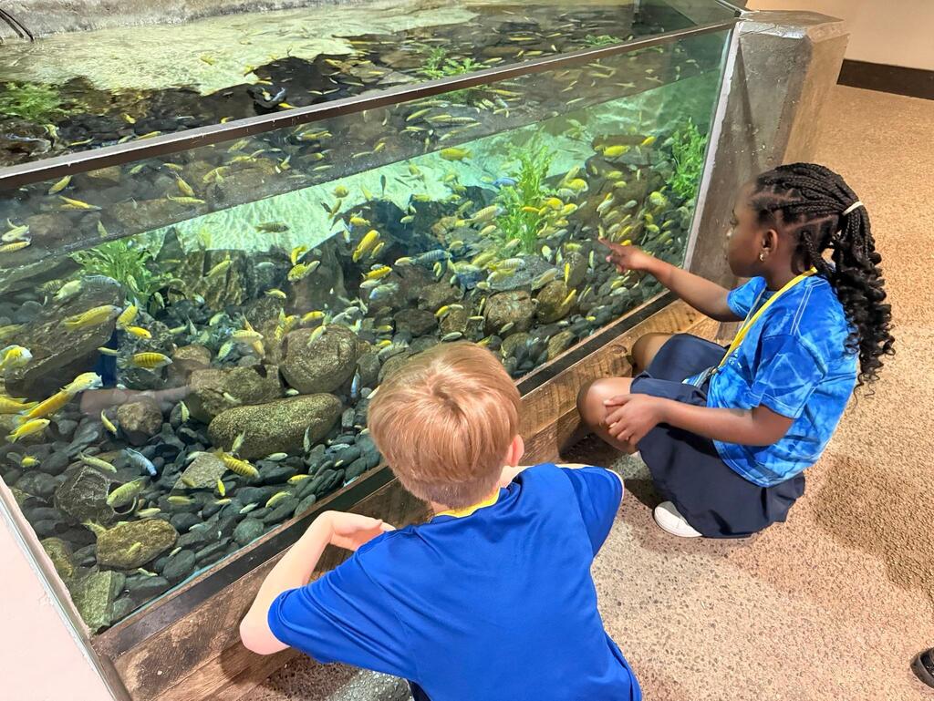 buffalo zoo field trip