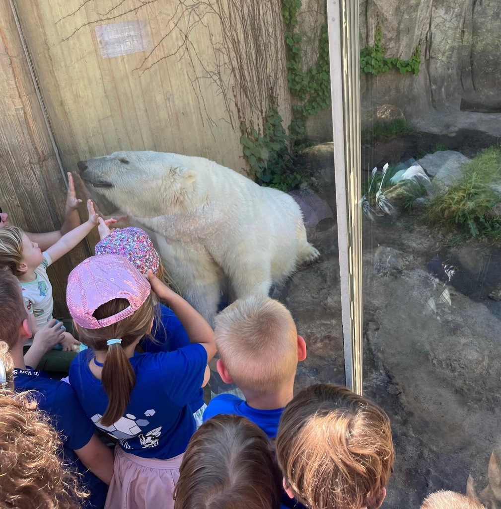 buffalo zoo field trip