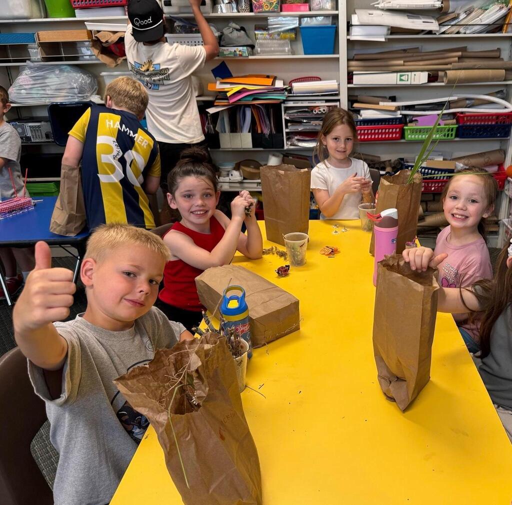 students made bug hotels