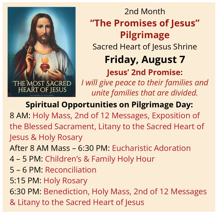 2nd Promise of the Sacred Heart of Jesus