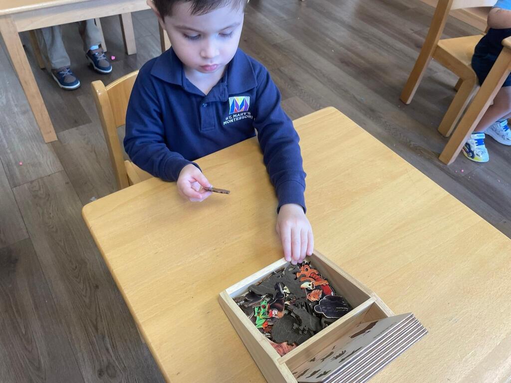 Montessori students learning in class