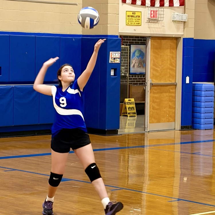 volleyball game