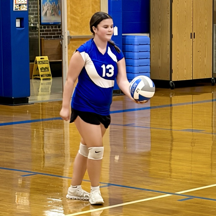 volleyball game