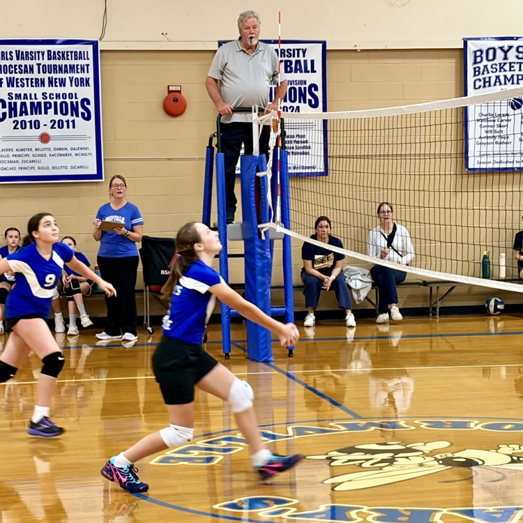 volleyball game