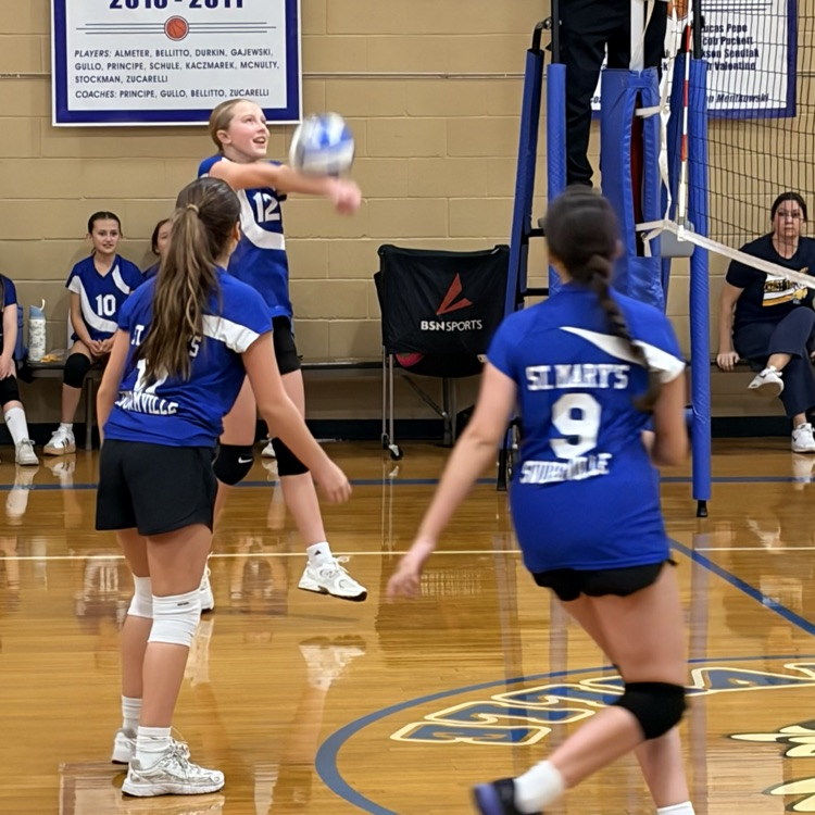 volleyball game