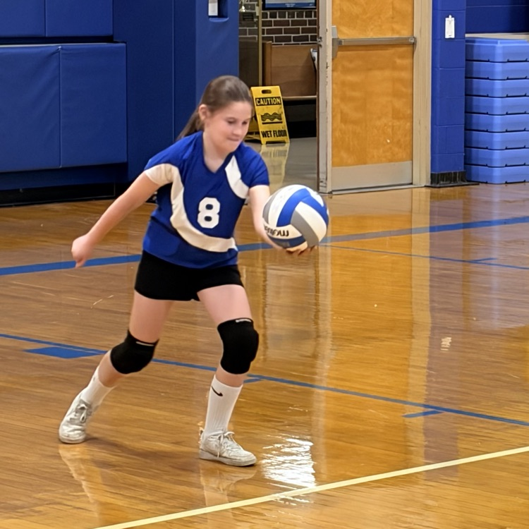 volleyball game