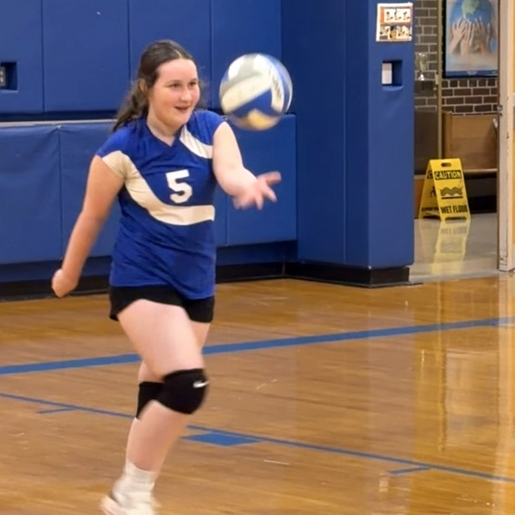 volleyball game