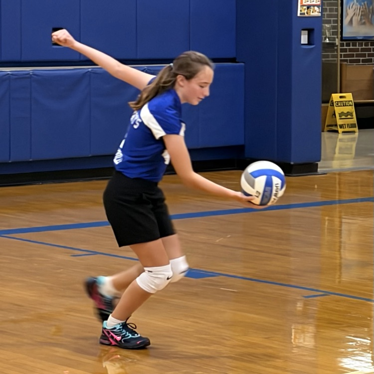 volleyball game
