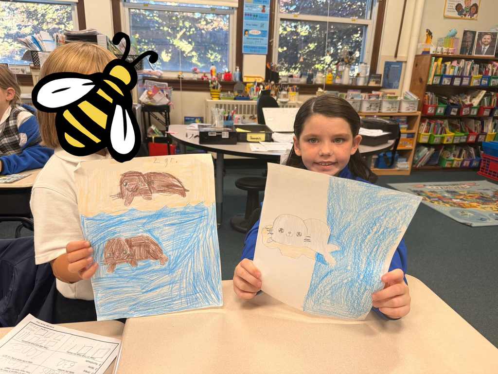 students with drawings of seals