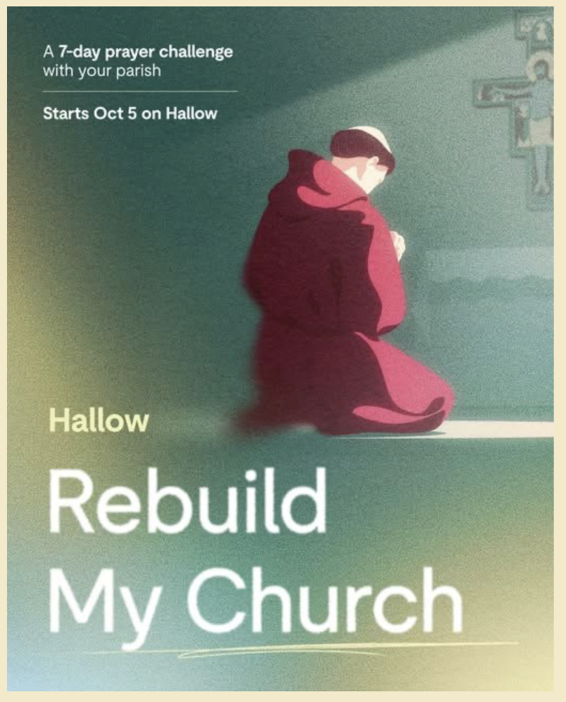 Hallow rebuild my church graphic of st francis kneeling