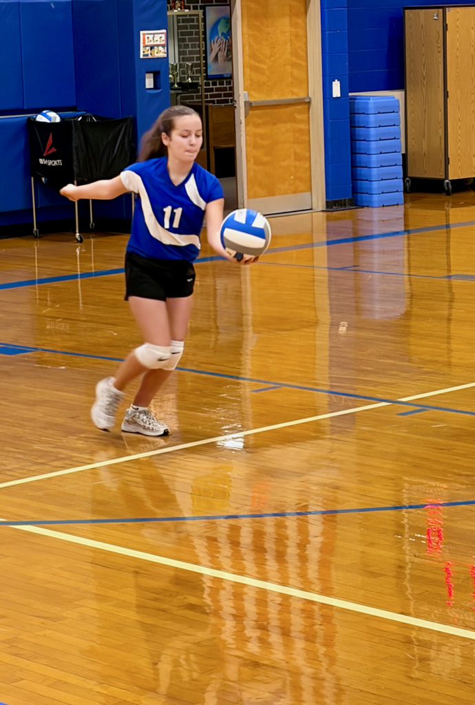 girls volleyball team