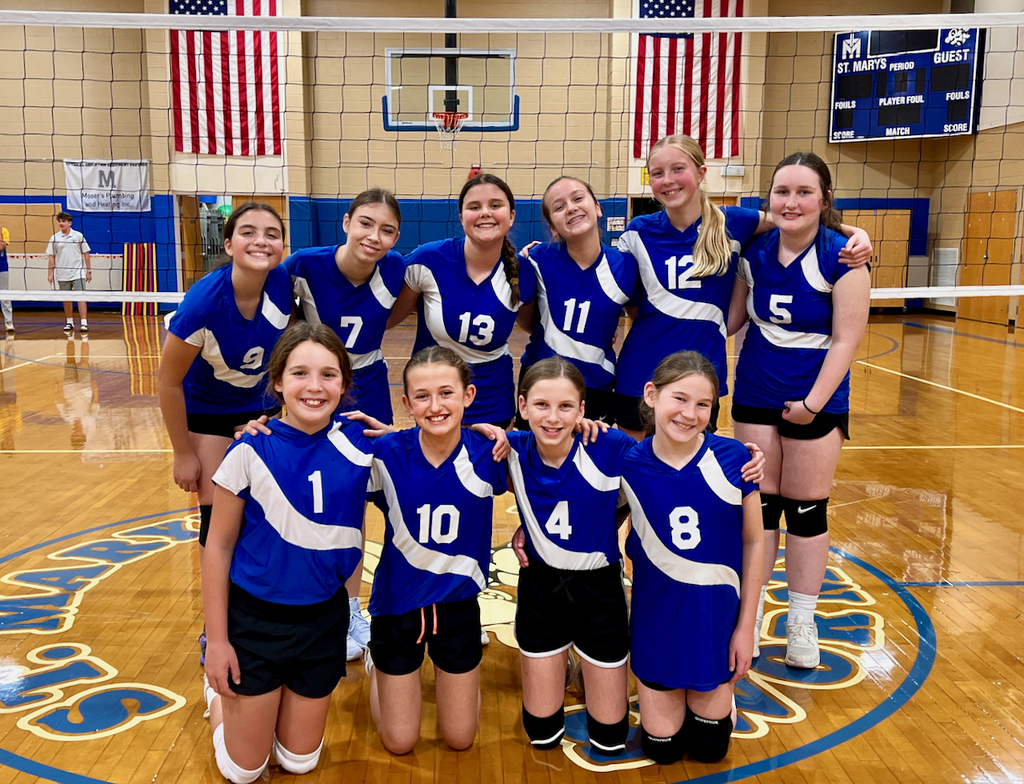girls volleyball team