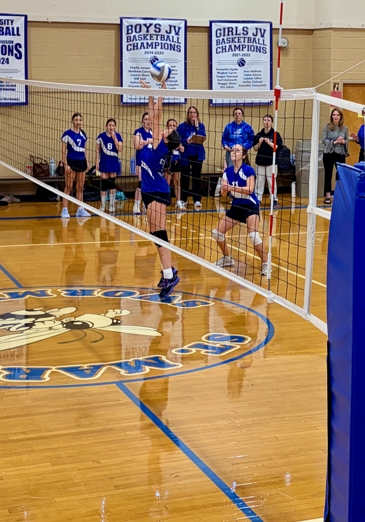 girls volleyball team