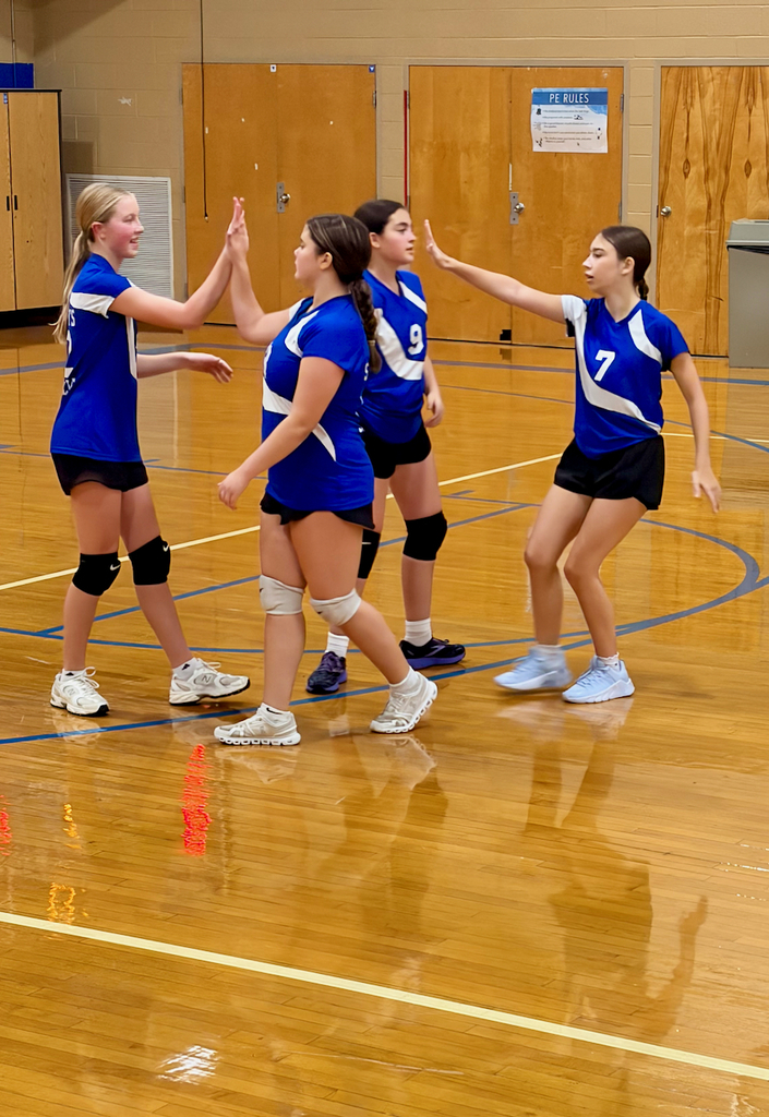 girls volleyball team