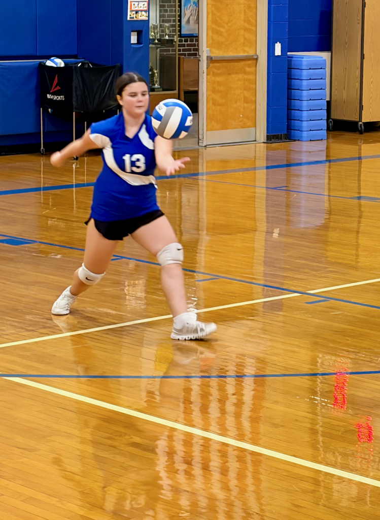 girls volleyball team