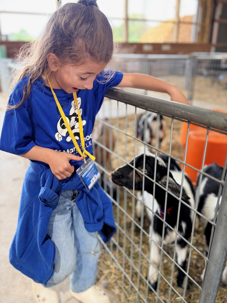child with baby goat